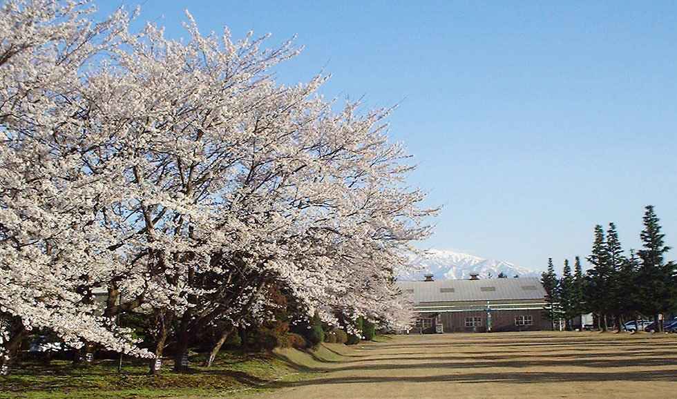 緑にかこまれた工場